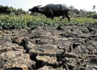 DA, Pabor sa Calamity Declaration para sa Agresibong Pagtugon sa El Niño