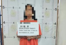 Top 5 Most Wanted Person sa Pontevedra, Arestado sa Kaso nga Qualified Theft