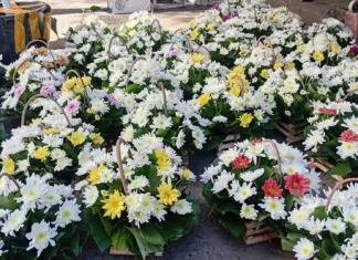 Presyo sang mga bulak sa Lapu-Lapu street, Roxas City, nagsaka sa paghilapit sang undas 2026