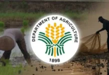 Agriculture Sec. Laurel, pabor nga ipaidalom ang pilipinas sa state of calamity bangud sa el niño