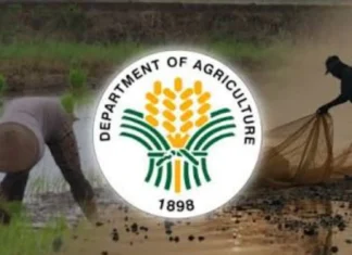 Agriculture Sec. Laurel, pabor nga ipaidalom ang pilipinas sa state of calamity bangud sa el niño