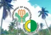 Philippine Coconut Authority (PCA), naghatag sang libre nga medical service sa mga mangunguma sa Ivisan