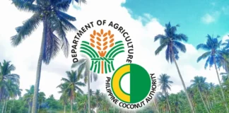 Philippine Coconut Authority (PCA), naghatag sang libre nga serbisyong medikal sa mga mangunguma sa Ivisan
