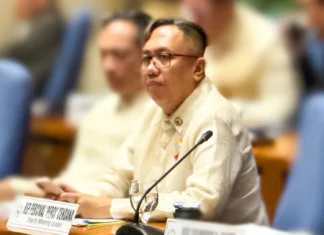 Pag-atras sang talo ka articles of impeachment, wala nagakahulugan nga safe na si VP Sara – Rep. Perci Cendaña