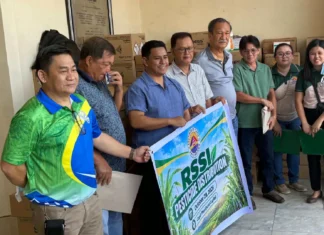 Masobra 2,000 ka mga mangunguma sa Capiz, nakabaton sang pesticide batok sa red-striped soft scale insect
