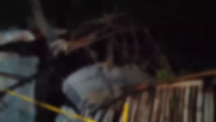 SUNOG