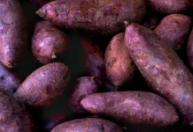 USDA, nagpain sang $34.1 million para sa pagpasanyog sang industriya sang ube sa Pilipinas