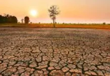 Bayan Panay, ginkadismaya ang kakulangan sa pagtugon sang gobyerno sa epekto sang Super El Niño