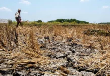 PDRRMO Capiz, padayon sa pagpanghanda sa posible nga epekto sang el niño