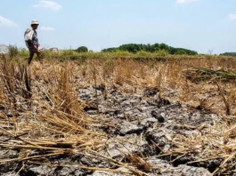 PDRRMO Capiz, padayon sa pagpanghanda sa posible nga epekto sang el niño