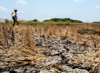 PDRRMO Capiz, padayon sa pagpanghanda sa posible nga epekto sang el niño