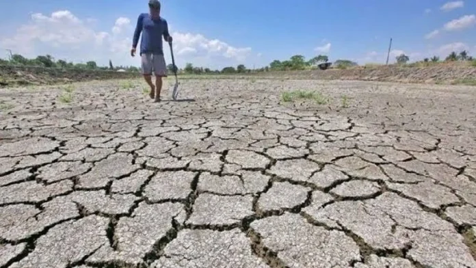 el niño SIGMA