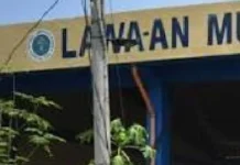 Serye sang mga kinawatay sa Barangay Lawaan sa Roxas City, gina-imbestigaran na