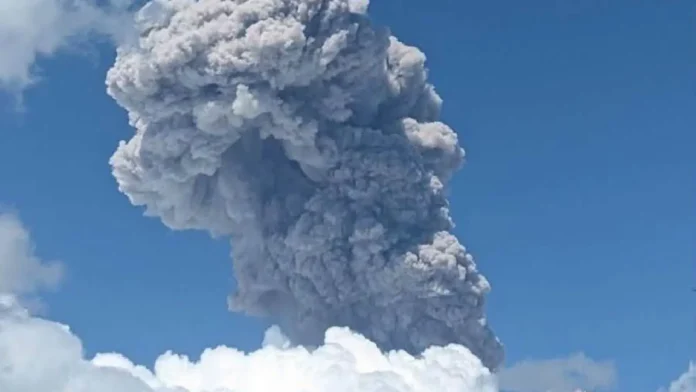 mayon