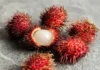 Liso sang Rambutan, nagtubo sa tutunlan sang isa ka lalake