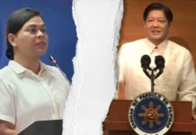 VP Sara Duterte, ginpanindugan nga dapat manabat si President Marcos kag mga mamalidha sa unconstitutional nga national budget