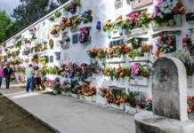 President Marcos, ginpasalig ang kahandaan sang mga ahensya sang gobyerno para sa Undas 2026