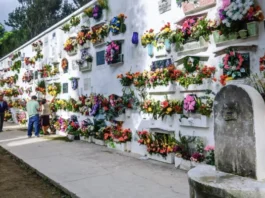 President Marcos, ginpasalig ang kahandaan sang mga ahensya sang gobyerno para sa Undas 2026