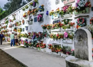 President Marcos, ginpasalig ang kahandaan sang mga ahensya sang gobyerno para sa Undas 2026