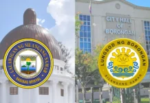 Borongan City, ika-unom ha mga syudad ha Eastern Visayas nga may pinakamahitaas nga total assets