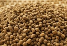 Fish feed mill sa mga mangingisda, solusyon sa mataas na presyo ng feeds