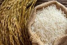 Price Control sa mga farm inputs, dapat ipatupad ng gobyerno – Bantay Bigas Group