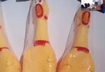 Ban Toxics, hiniling na tanggalin sa merkado ang laruan na “Shrilling Chicken”