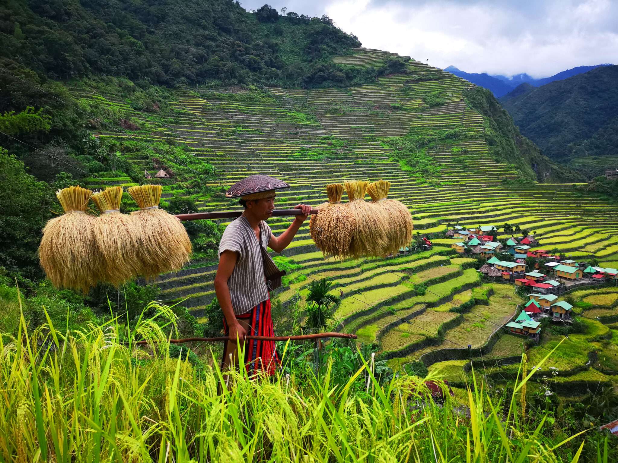 Banaue rice terraces, inilipat na sa Benguet mula sa Ifugao? - Bombo ...