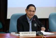 Negros Occ. Rep. Benitez, bagong pinuno ng TESDA
