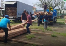 DENR Region 2, nag-donate ng mga kahoy para sa mga nasirang mga bahay at mga paaralan sa Cagayan at Batanes