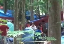Tatlong boy scouts patay matapos makuryente