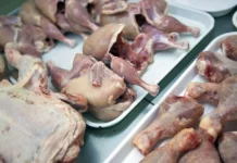 Chicken imports sa Pilipinas, inaasahang tataas ng halos 15% sa 2027