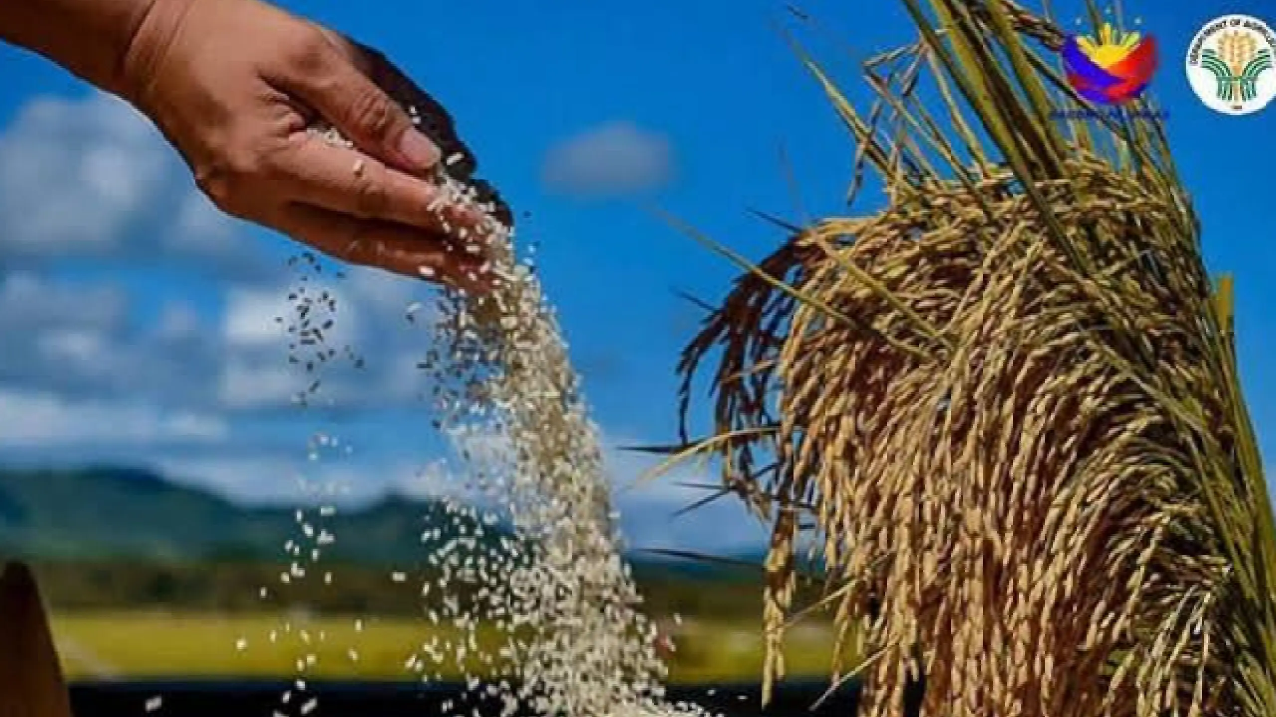 Presyo ng produktong agrikultural, posibleng tumaas