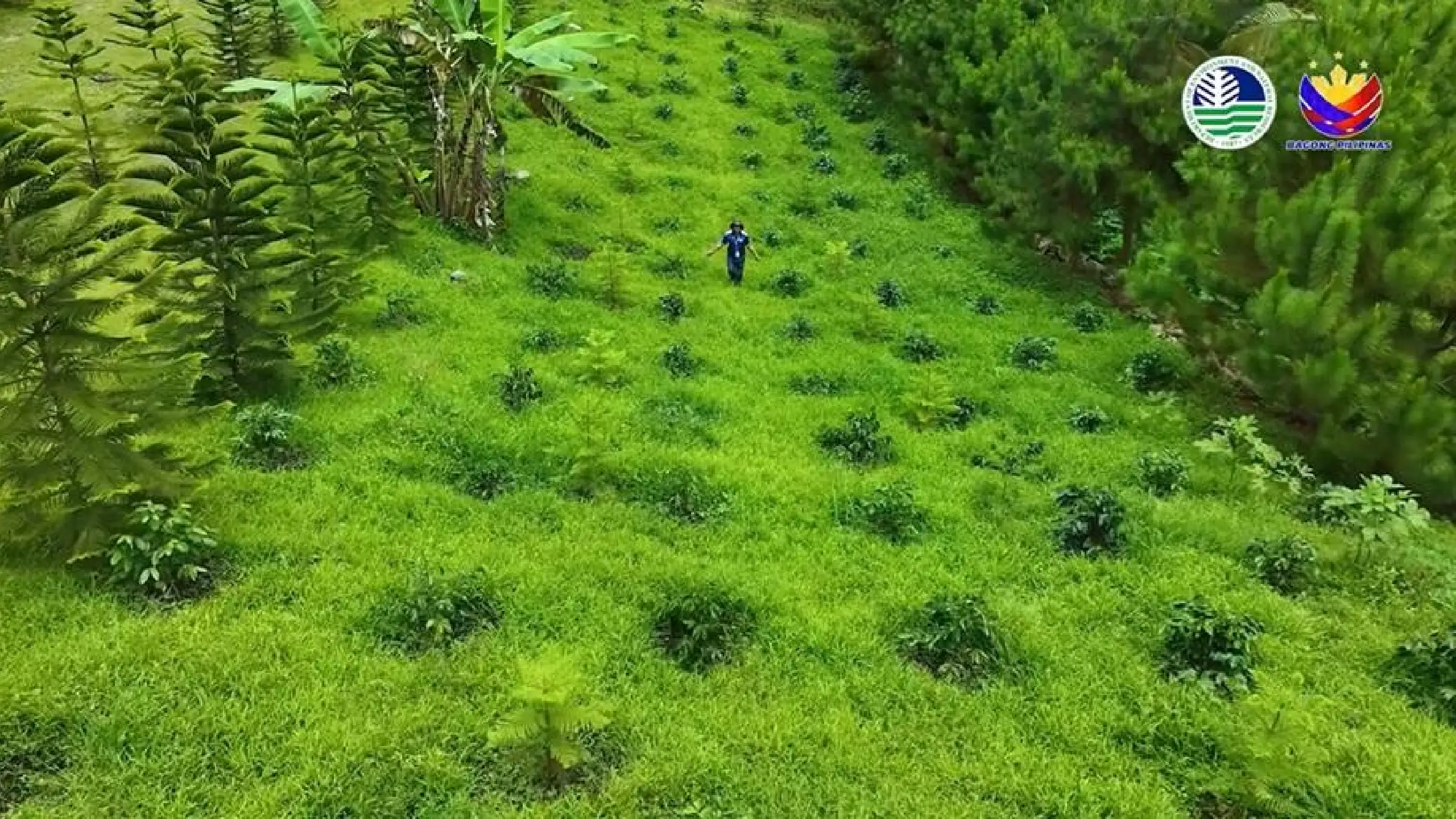 ₱1.62 bilyon, iminungkahi ng Department of Budget and Management para sa Expanded National Greening Program sa 2027