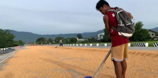 PBBM, itinaas sa 500,000 metric tons ang quota sa imported corn sa kabila ng pangamba ng mga magsasaka