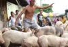 Mga hog trader, nagsagawa ng tatlong araw na tigil-benta ng baboy bilang protesta sa importasyon