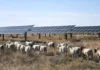 Pagdaragdag ng clean energy capacity sa mundo, inaasahang babagal ngayong taon