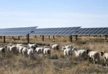Pagdaragdag ng clean energy capacity sa mundo, inaasahang babagal ngayong taon