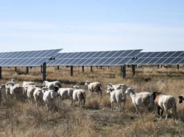 Pagdaragdag ng clean energy capacity sa mundo, inaasahang babagal ngayong taon