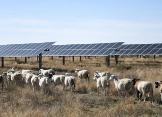 Pagdaragdag ng clean energy capacity sa mundo, inaasahang babagal ngayong taon