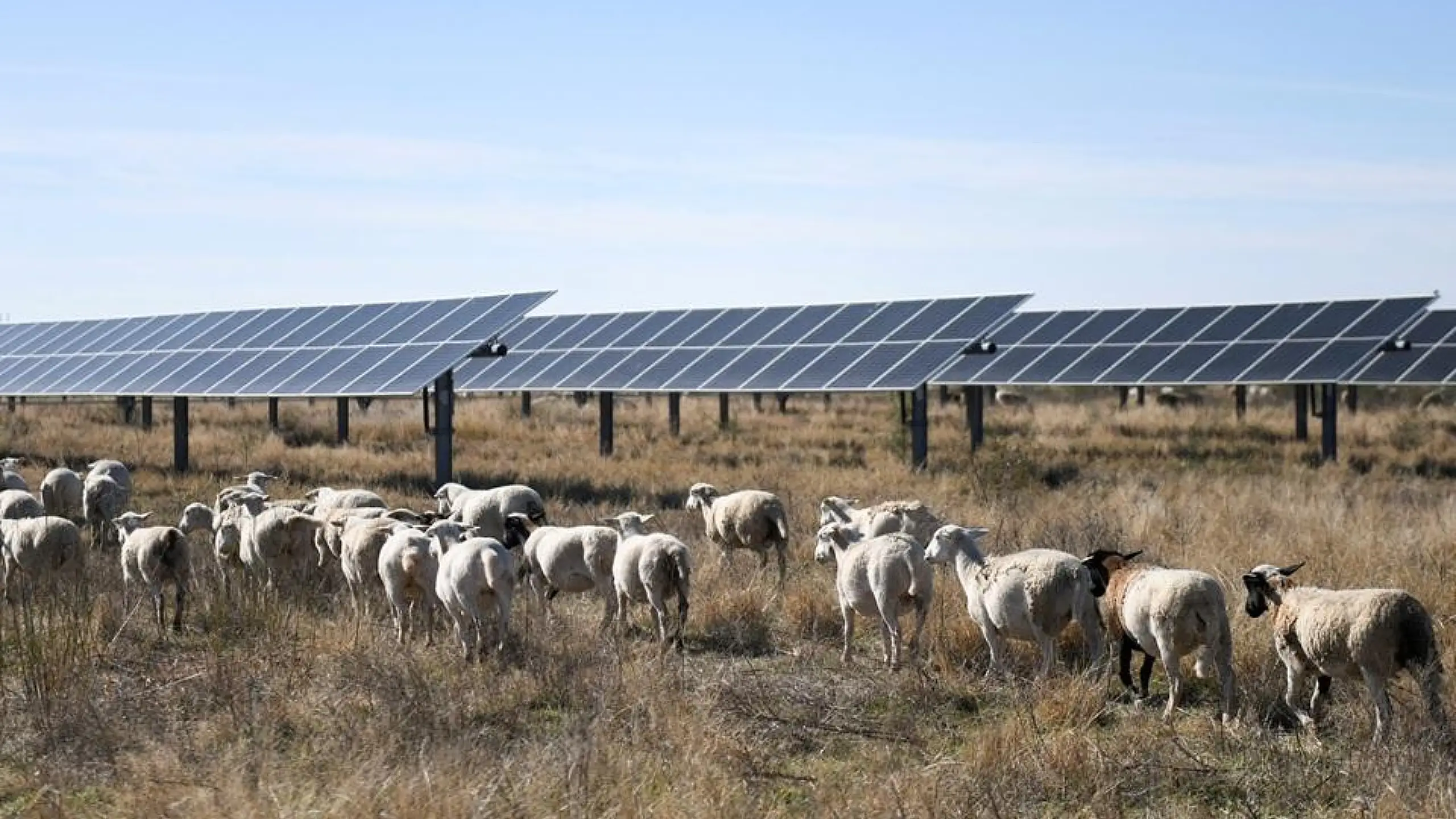 Pagdaragdag ng clean energy capacity sa mundo, inaasahang babagal ngayong taon