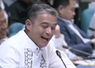 P28.04-bilyong budget ng DENR para sa 2027, inendorso ng Senate panel