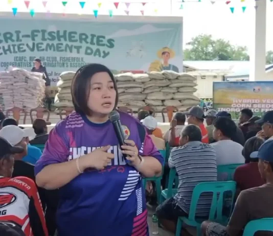 622 magsasaka sa Tuguegarao, tumanggap ng libreng binhi ng mais at abono