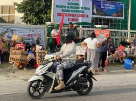 Mga magsasaka sa Cagayan Valley, nanawagan ng dagdag na pondo sa agrikultura sa 2027