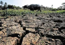 Super El Niño, posibleng magdulot ng ₱20-B pagkalugi sa agrikultura; 4.6-M magsasaka at mangingisda, apektado