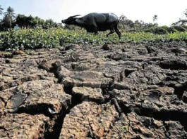 Super El Niño, posibleng magdulot ng ₱20-B pagkalugi sa agrikultura; 4.6-M magsasaka at mangingisda, apektado