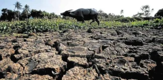 Super El Niño, posibleng magdulot ng ₱20-B pagkalugi sa agrikultura; 4.6-M magsasaka at mangingisda, apektado