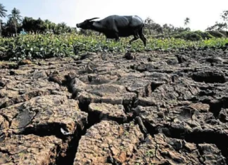 Super El Niño, posibleng magdulot ng ₱20-B pagkalugi sa agrikultura; 4.6-M magsasaka at mangingisda, apektado