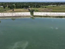 Isabela Gov. Albano, hinamon si VM Respicio na patunayan ang alegasyon ng “ghost” flood control projects