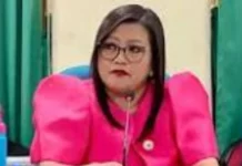 Cong. Luistro, iginiit na DPWH ang nagpanukala ng infrastructure projects sa kanyang distrito